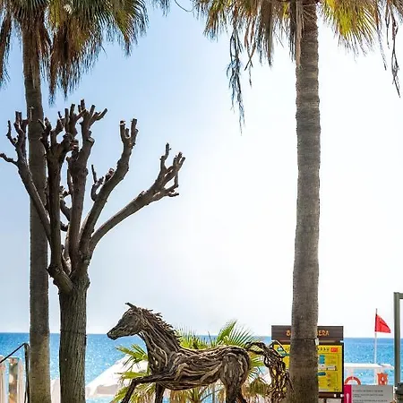 Barut Hemera