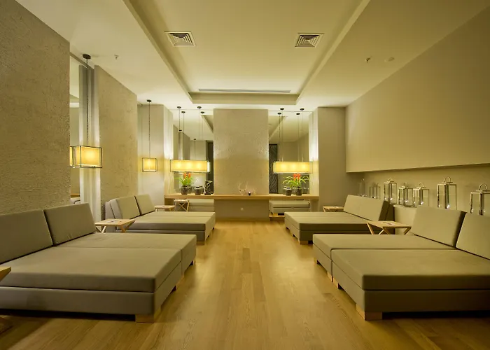 Barut Hemera 5* シダ