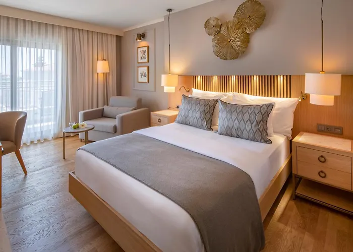 Barut Hemera Готель 5*